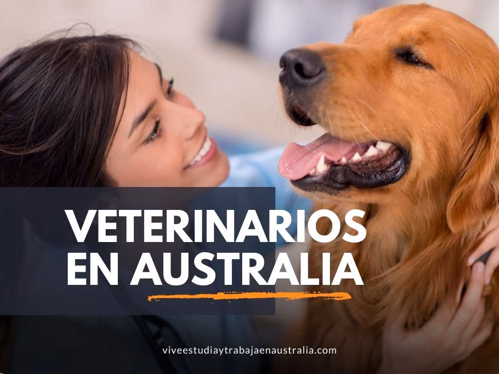 ¿Puedo trabajar en Australia como veterinario?