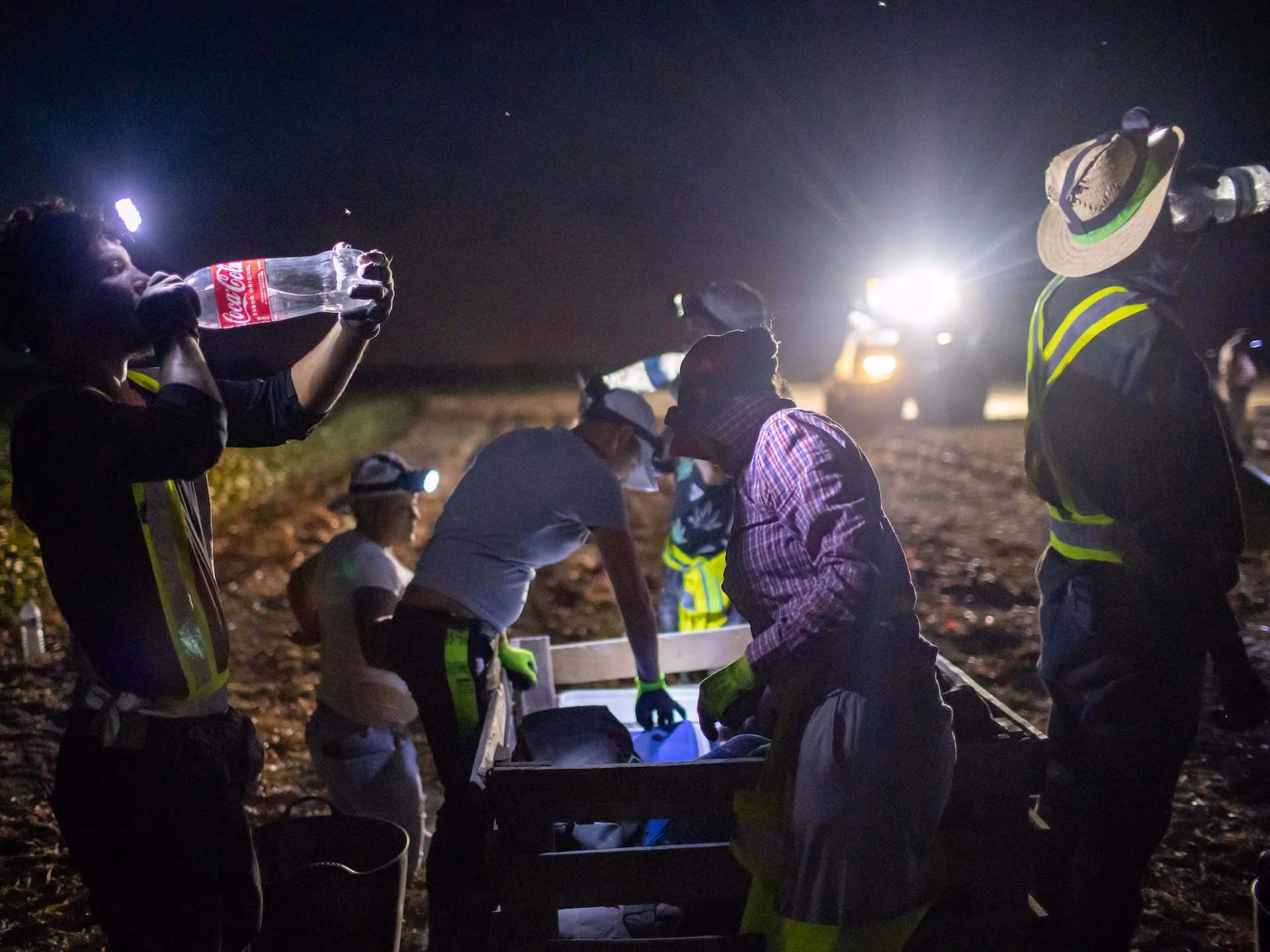¿Qué trabajos son nocturnos?
