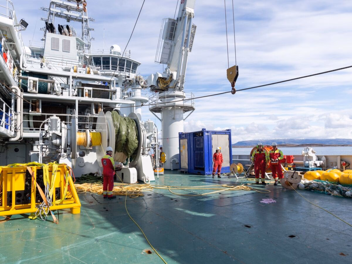 ¿Cuáles son 10 trabajos poco comunes?