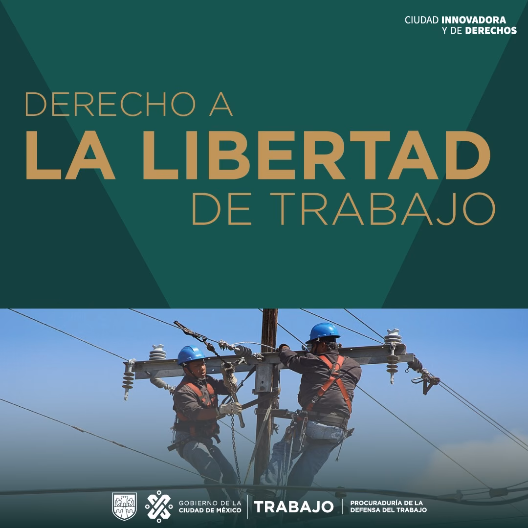 ¿Qué es la libertad y el derecho del trabajo?