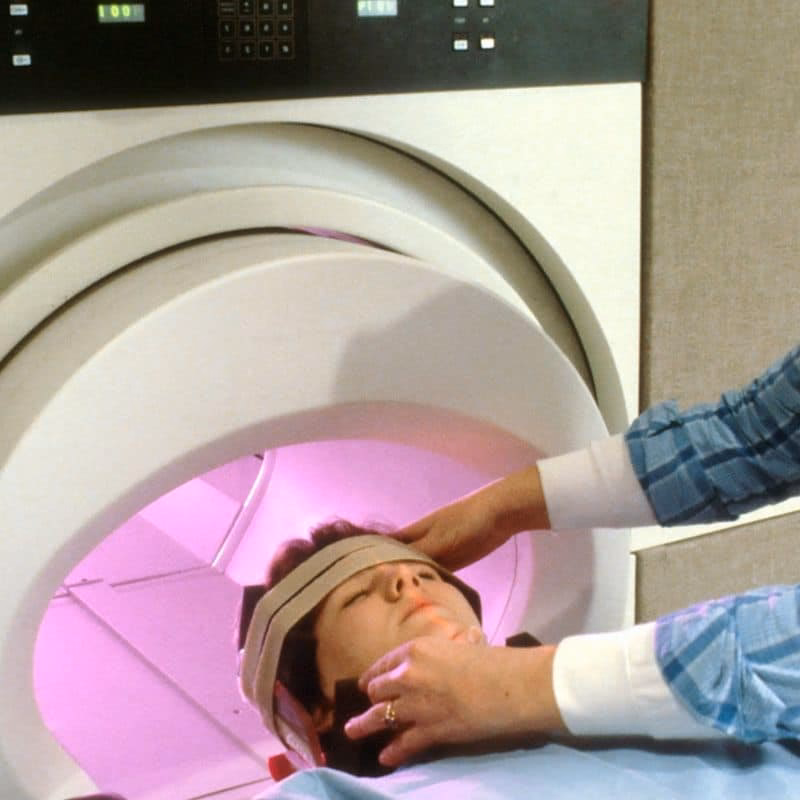 What is the in vivo meaning?