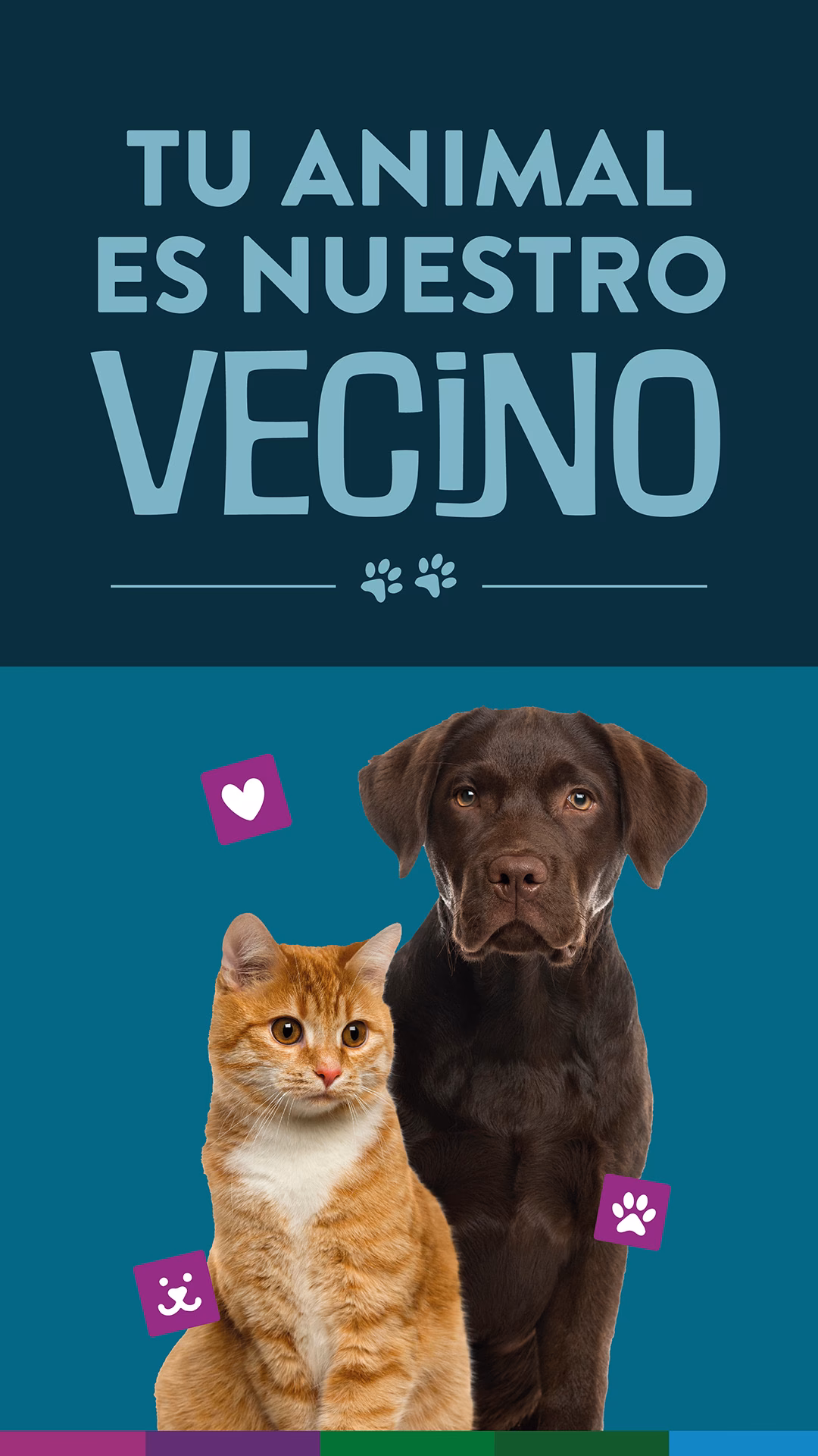 ¿Cuál es el número de WhatsApp de la Municipalidad de Vicente López?